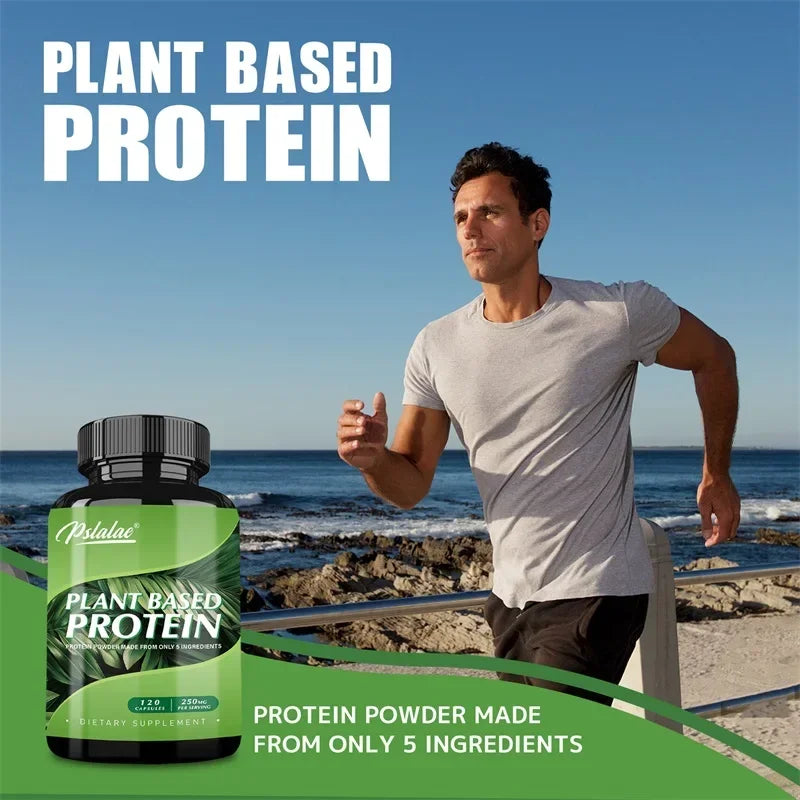 Plant Based Protein Supplement - Digestive Support, Promotes Intestinal Health, Antioxidant