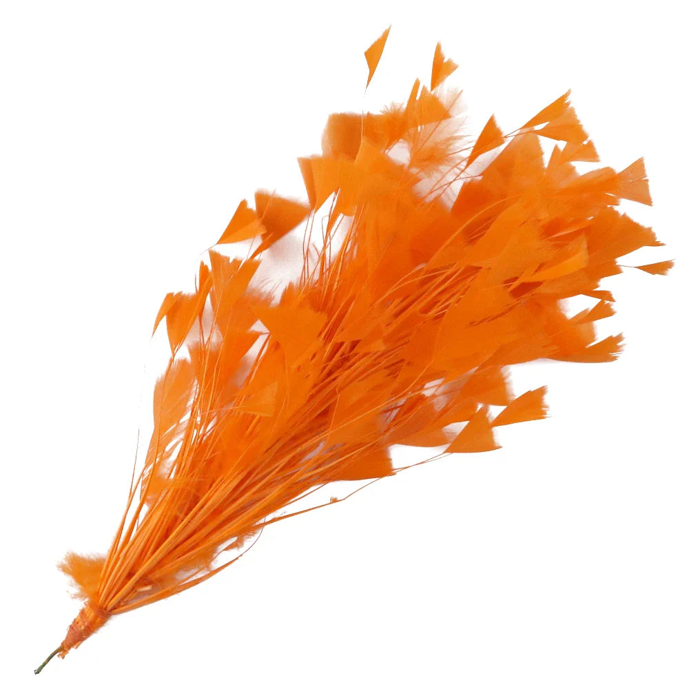10-12Inch Feather Plumes