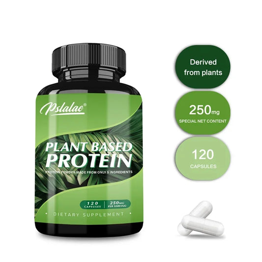 Plant Based Protein Supplement - Digestive Support, Promotes Intestinal Health, Antioxidant