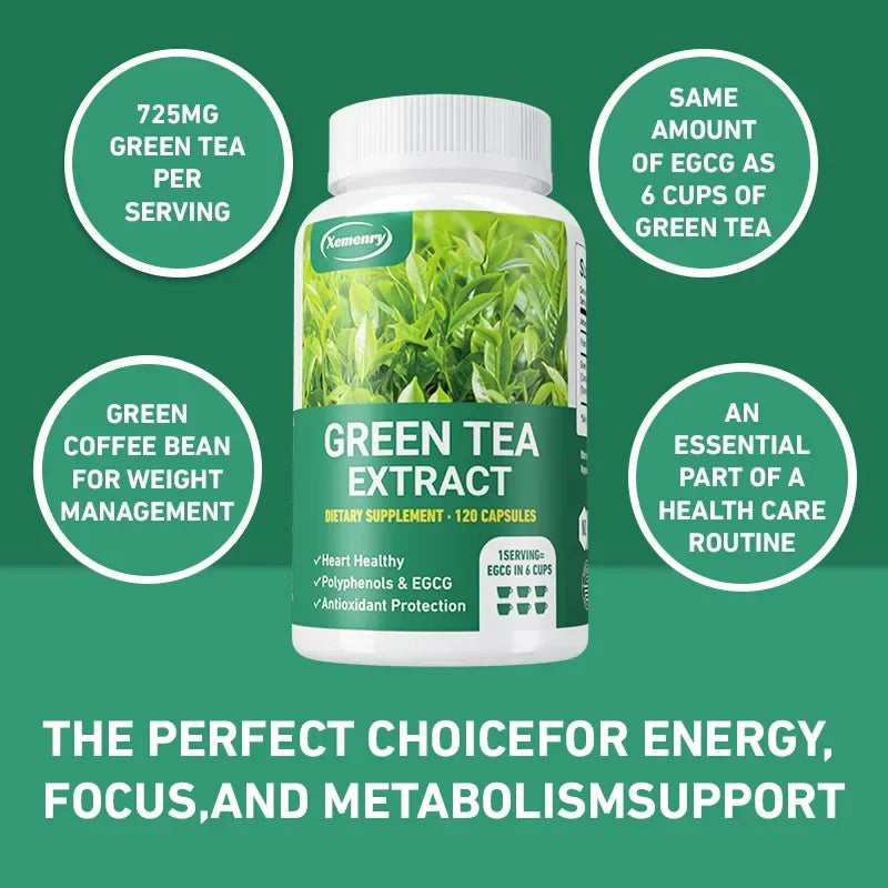 Green Tea Extract - Boosts Metabolism, Supports Heart and Brain Health, Enhances Memory, Immune System