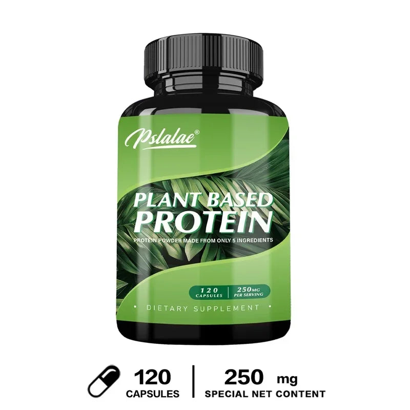 Plant Based Protein Supplement - Digestive Support, Promotes Intestinal Health, Antioxidant