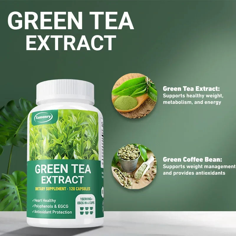 Green Tea Extract - Boosts Metabolism, Supports Heart and Brain Health, Enhances Memory, Immune System