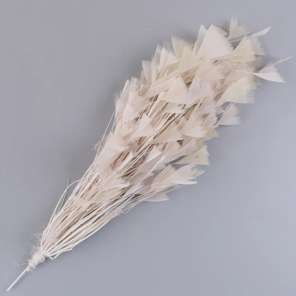 10-12Inch Feather Plumes