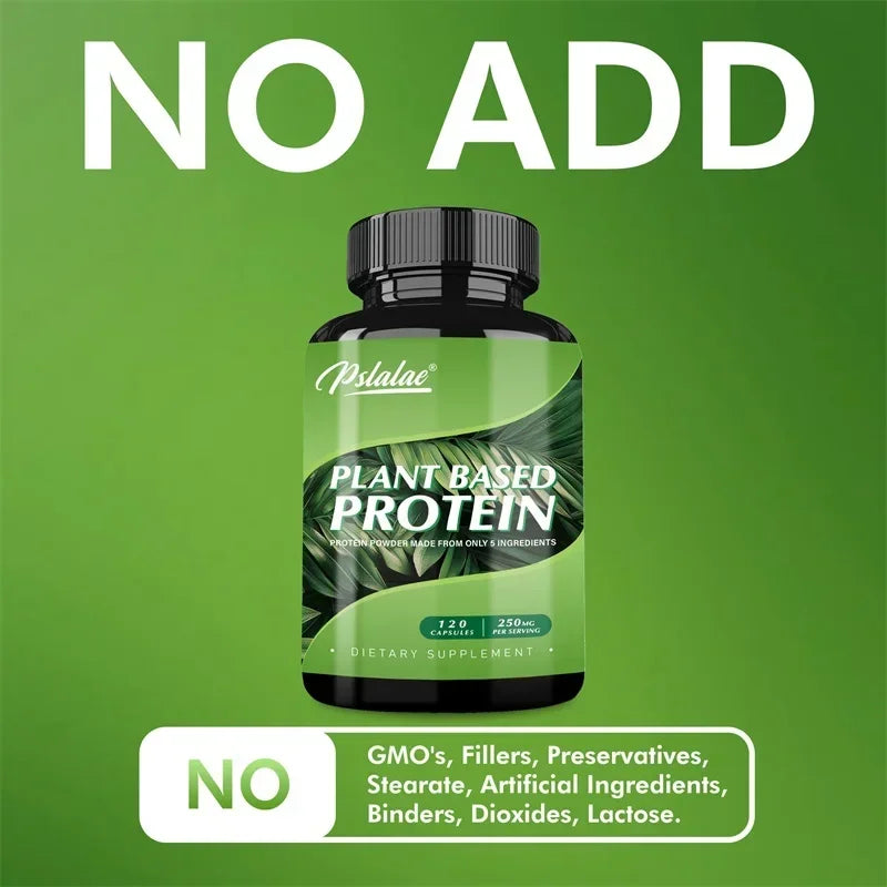 Plant Based Protein Supplement - Digestive Support, Promotes Intestinal Health, Antioxidant