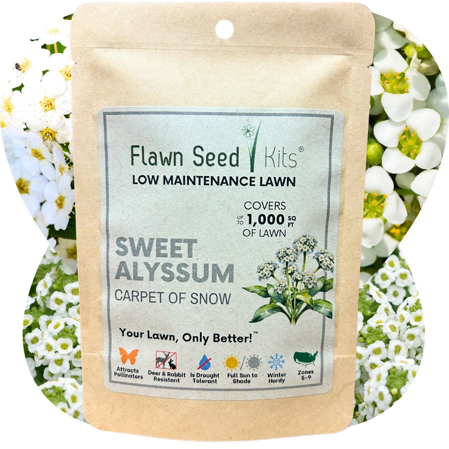 Sweet Alyssum Carpet Of Snow Seed Pouch - Concordia Style Boutique