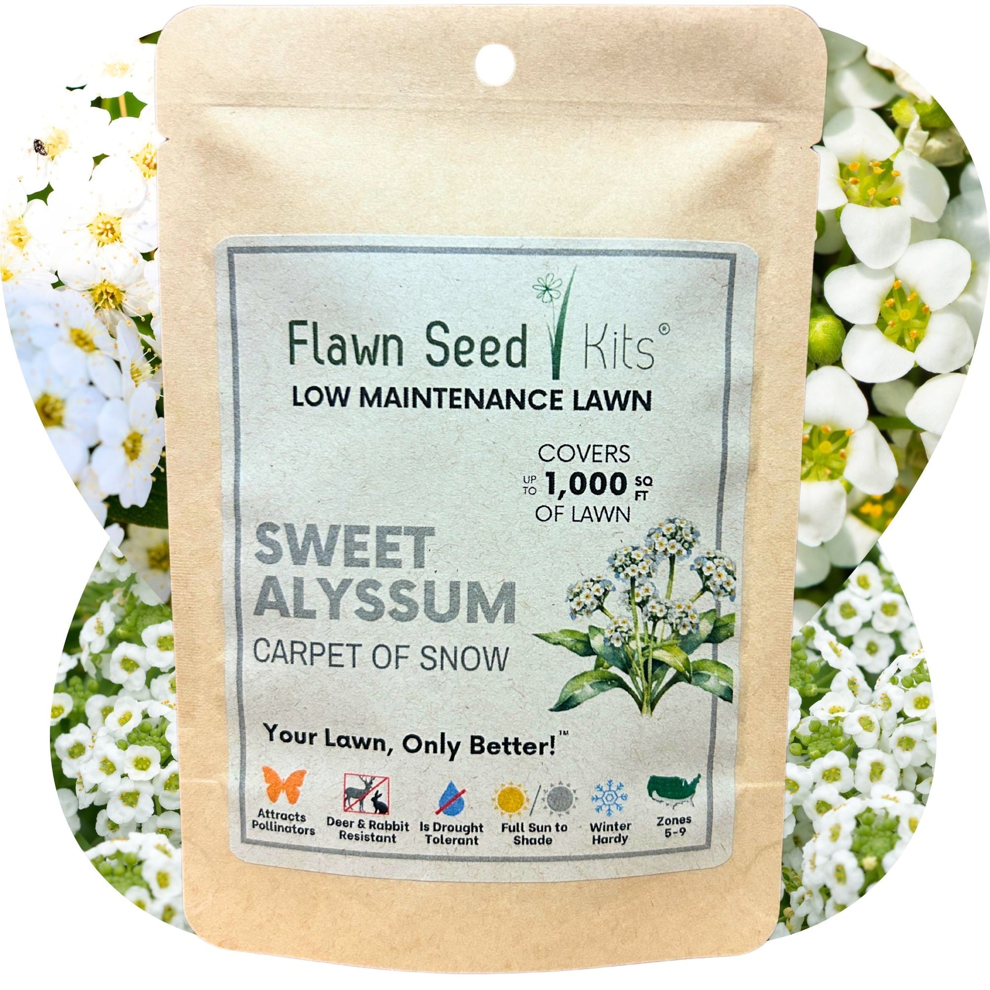 Sweet Alyssum Carpet Of Snow Seed Pouch - Concordia Style Boutique