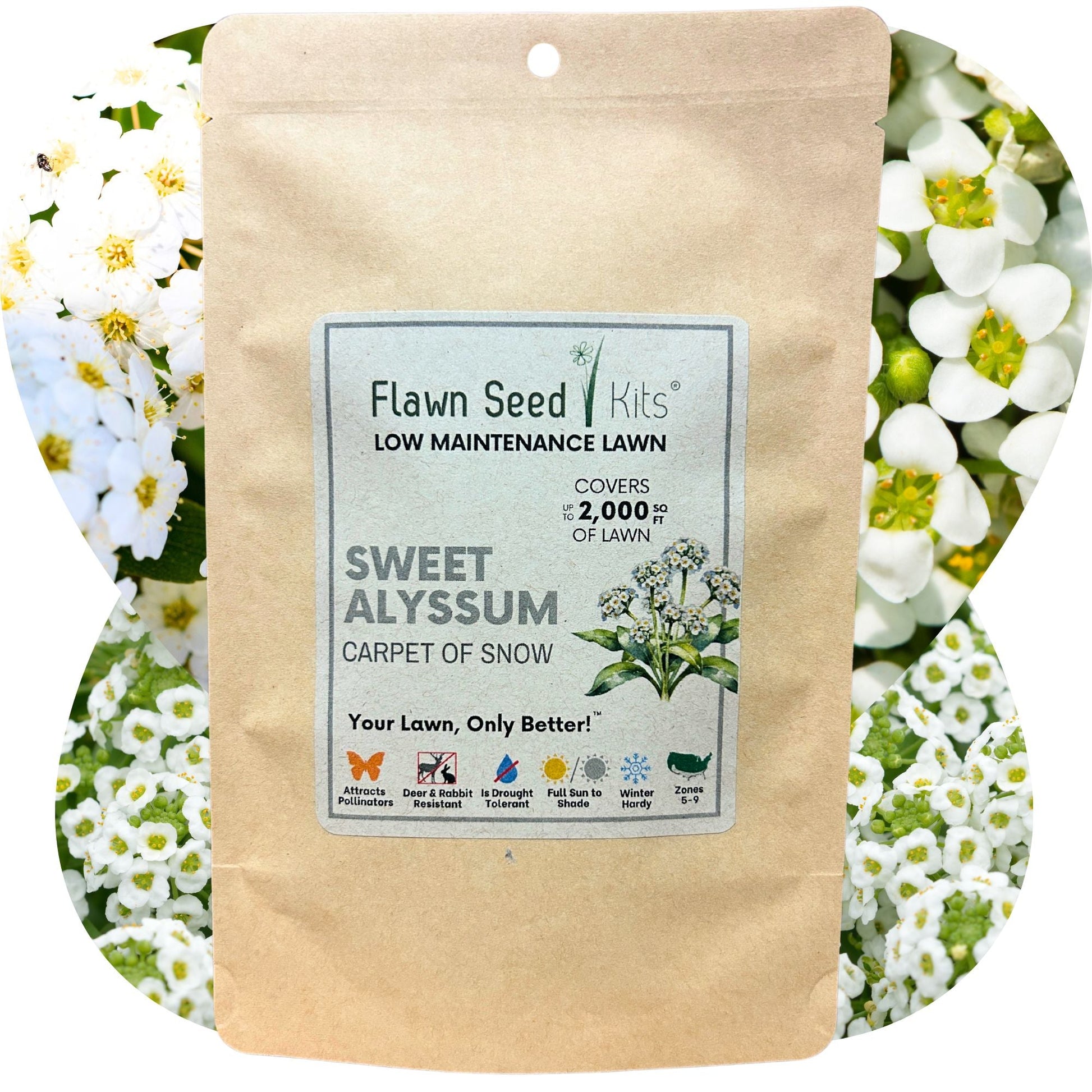 Sweet Alyssum Carpet Of Snow Seed Pouch - Concordia Style Boutique