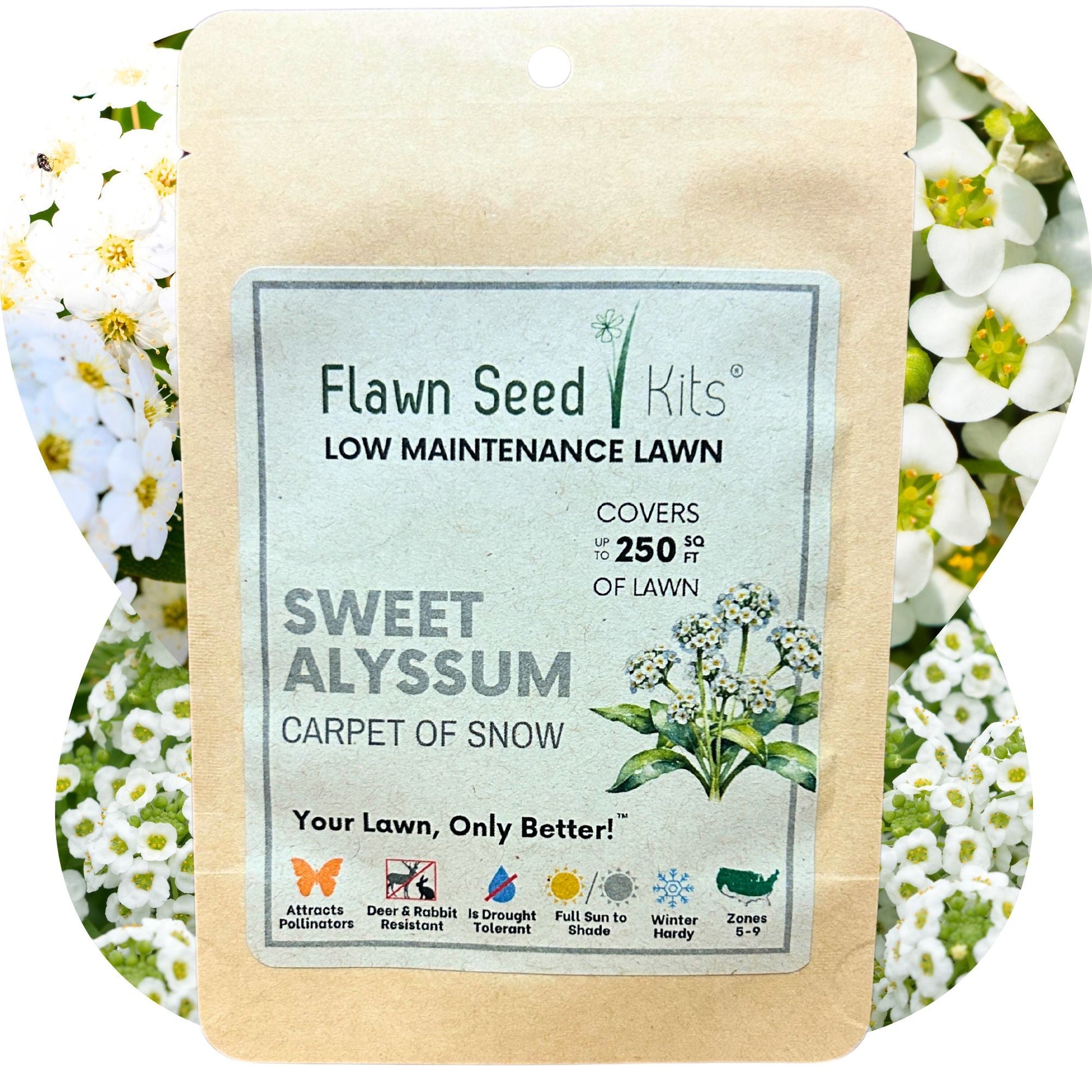 Sweet Alyssum Carpet Of Snow Seed Pouch - Concordia Style Boutique