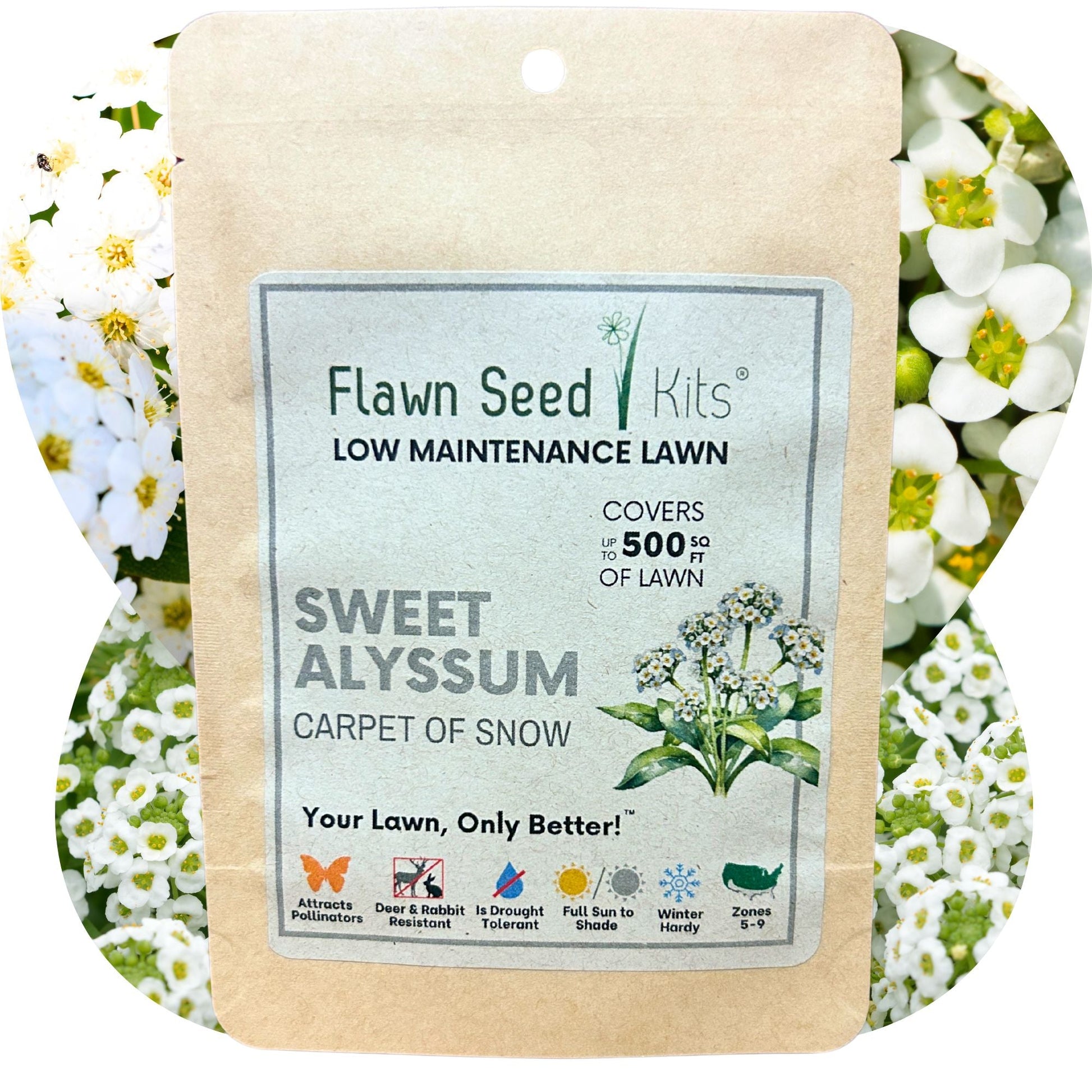 Sweet Alyssum Carpet Of Snow Seed Pouch - Concordia Style Boutique