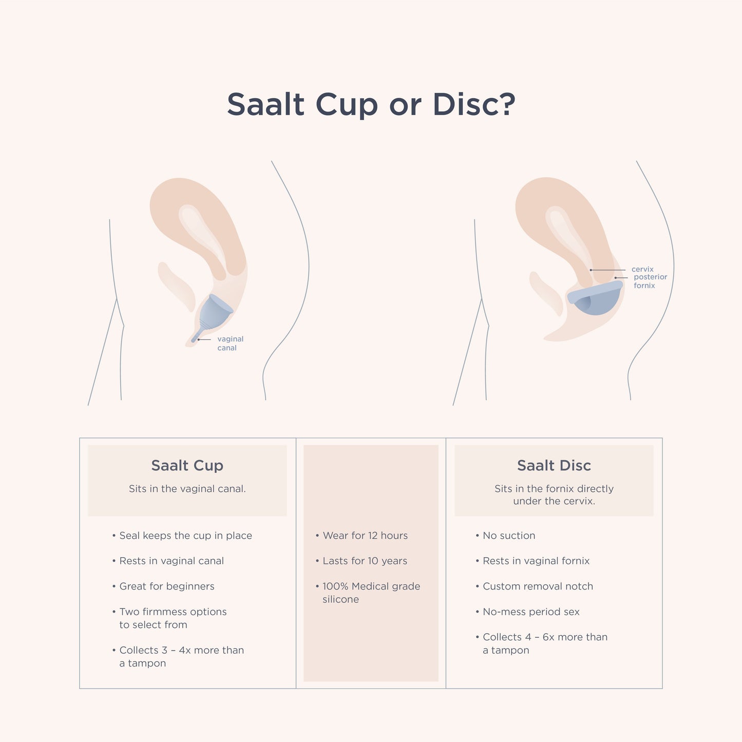 Saalt Cup - Concordia Style Boutique