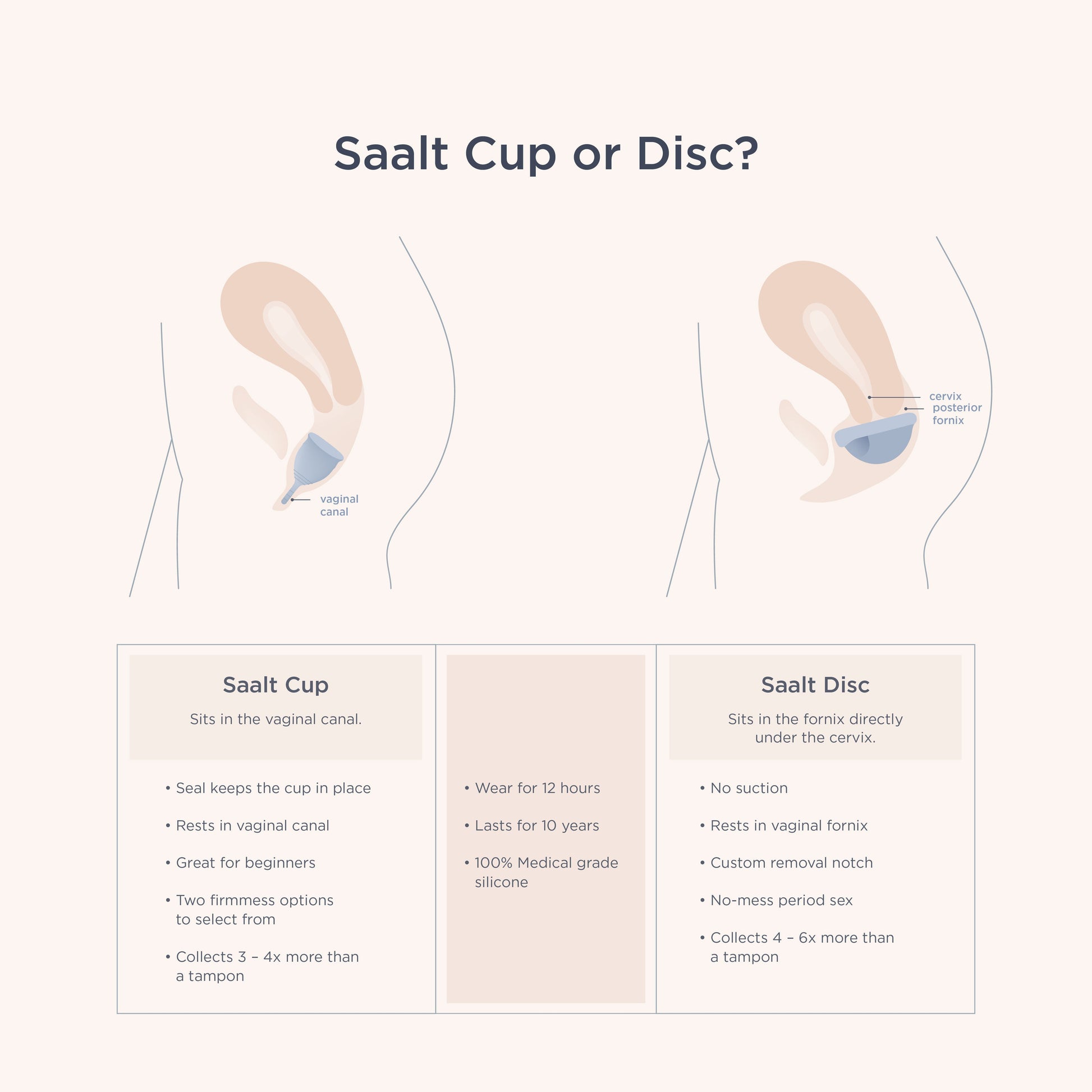 Saalt Cup - Concordia Style Boutique