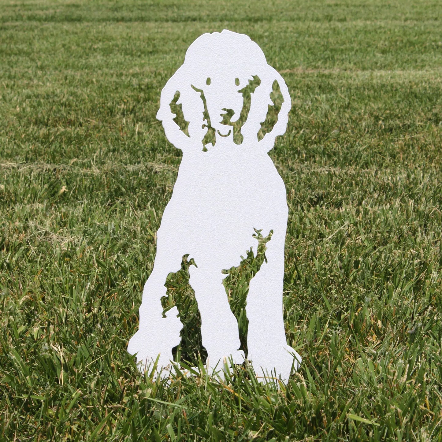 Special Edition *White* Poodle