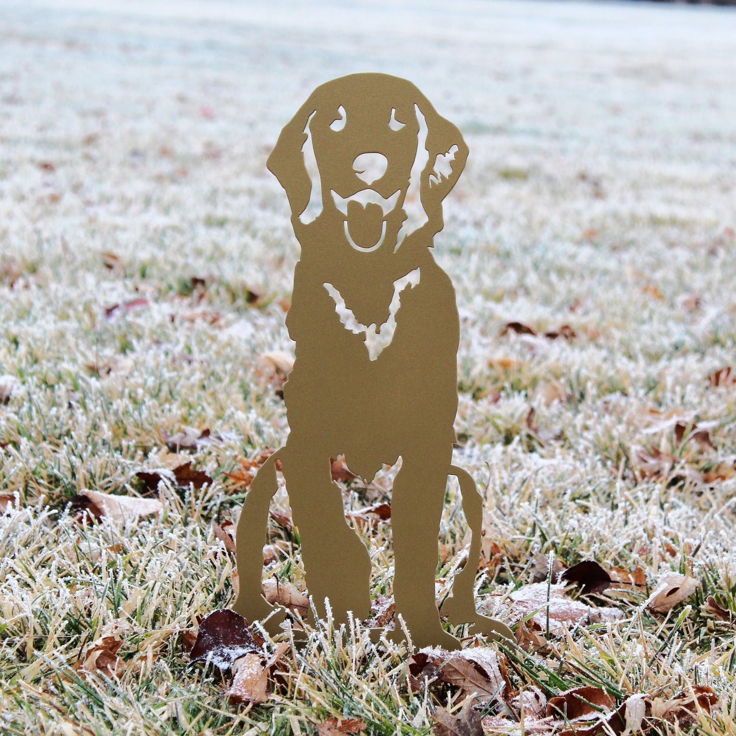 Special Edition *Gold* Golden Retriever - Sitting