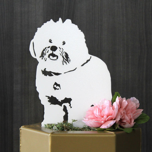 Special Edition *White* Bichon Frise