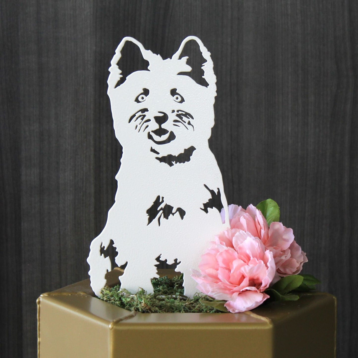 West Highland White Terrier