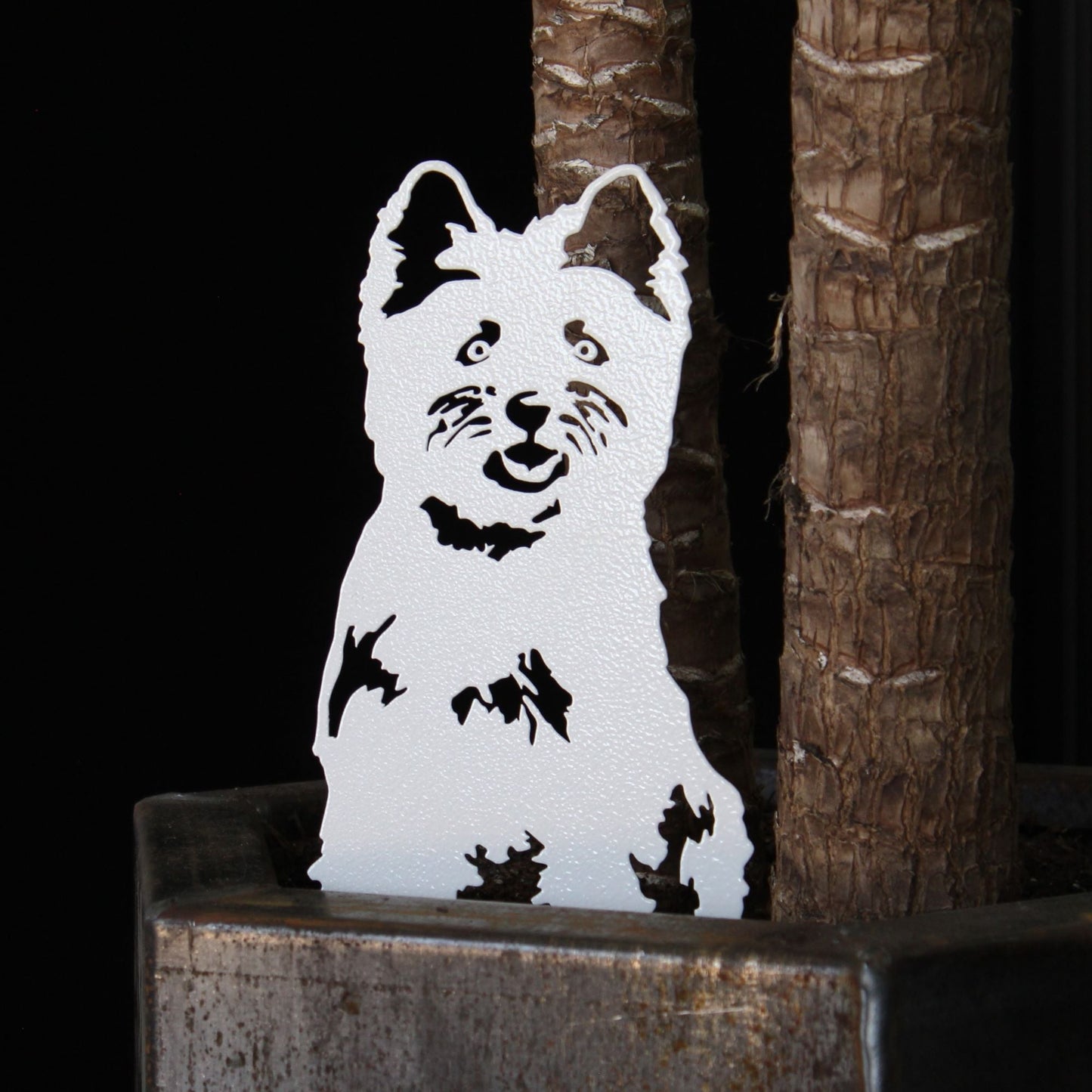 West Highland White Terrier