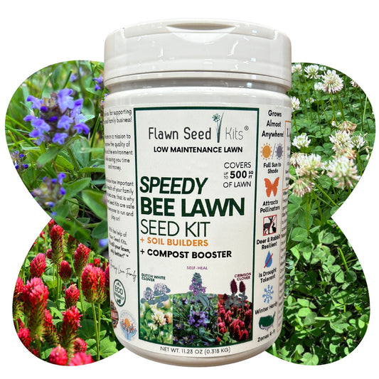 Speedy Bee Lawn Seed Kit - Concordia Style Boutique