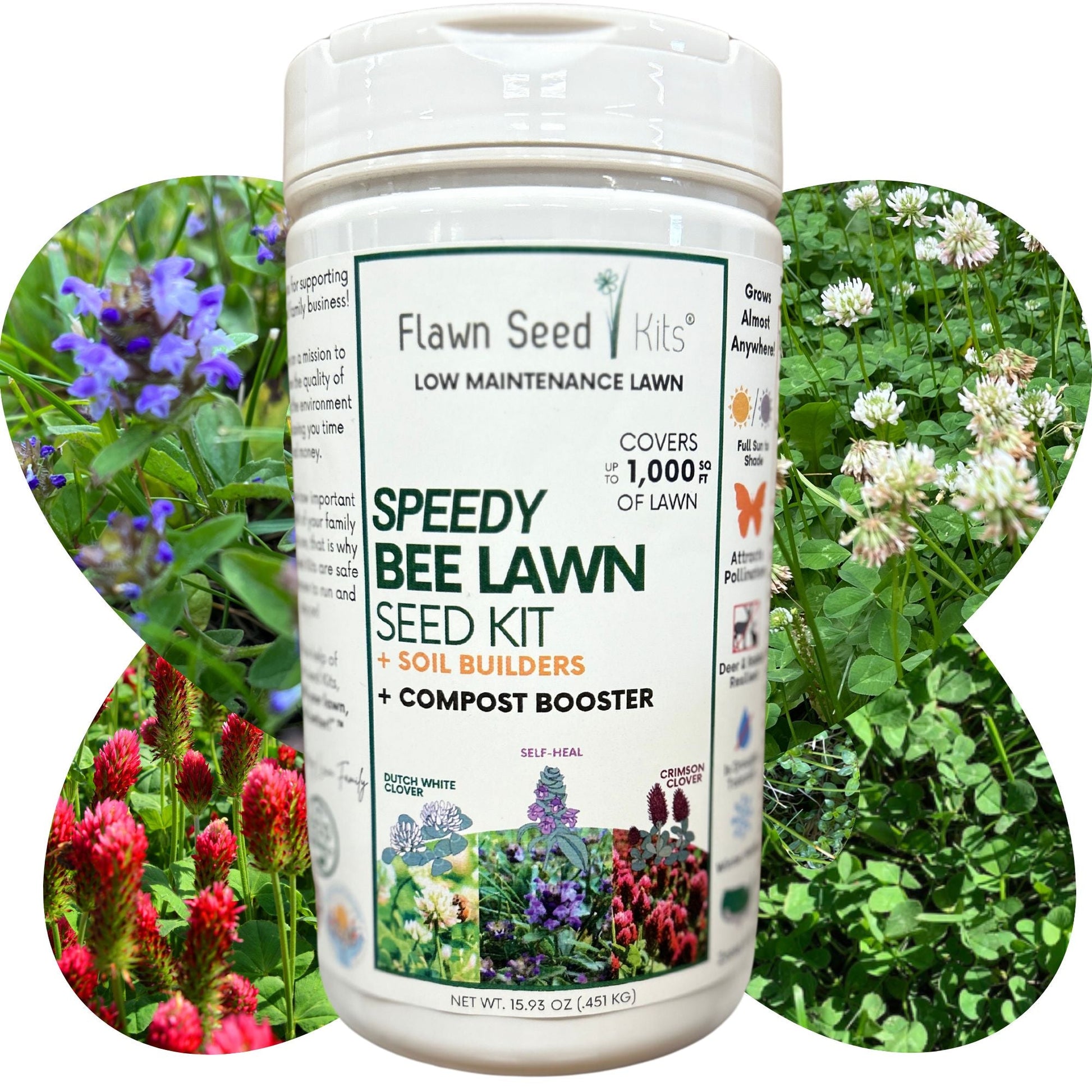 Speedy Bee Lawn Seed Kit - Concordia Style Boutique