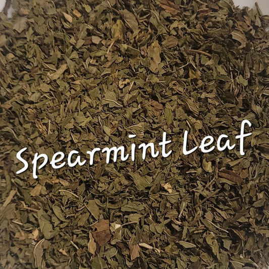 Spearmint Leaf | Digestion, Clarity & Hormonal Balance
