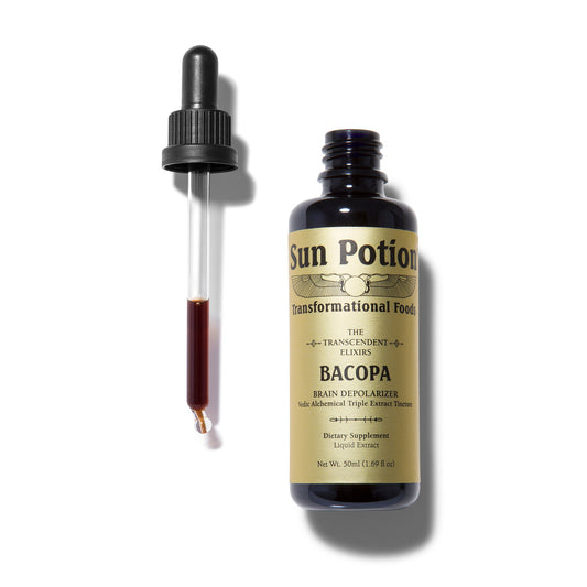 Bacopa Transcendent Elixir - Concordia Style Boutique