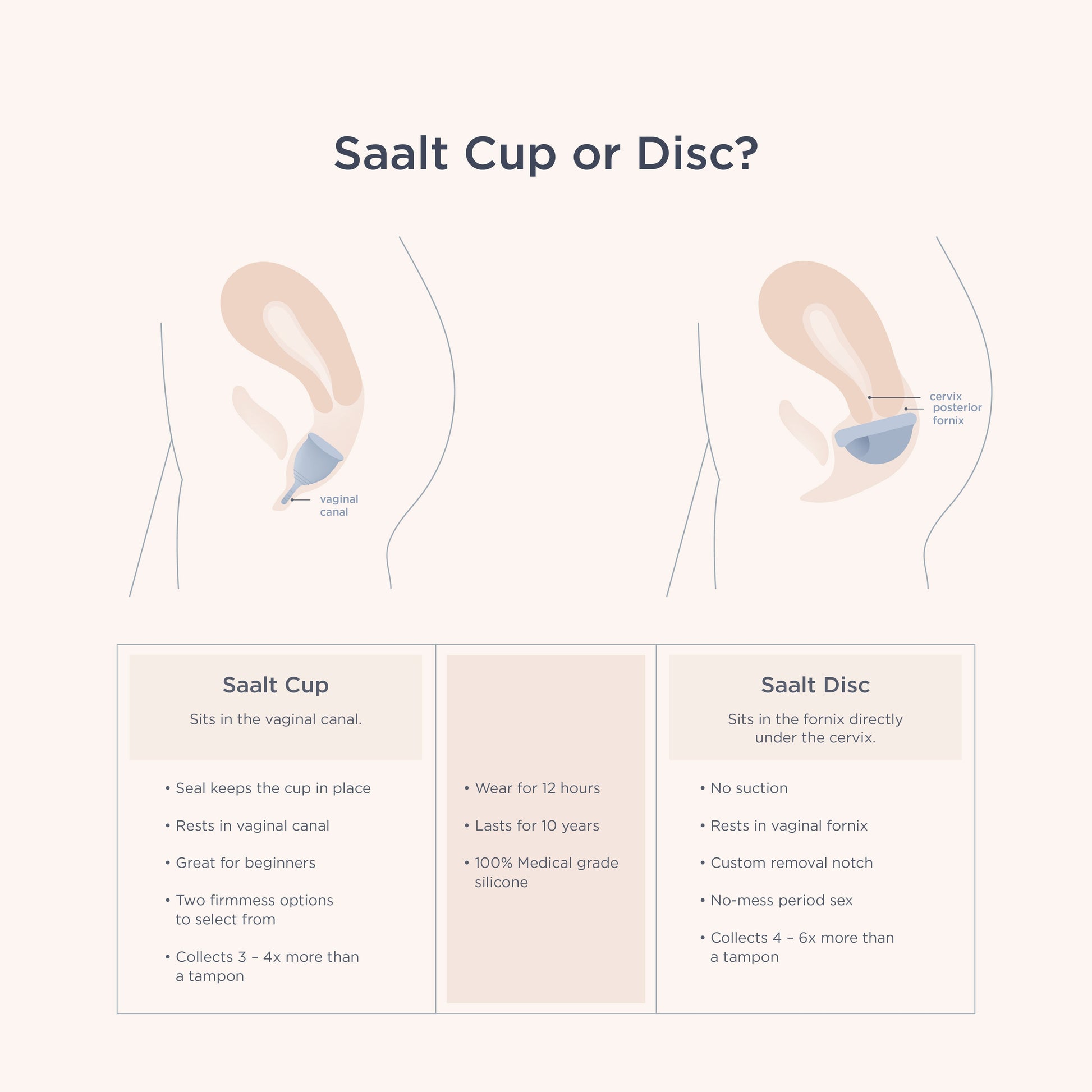 Saalt Soft Cup - Concordia Style Boutique