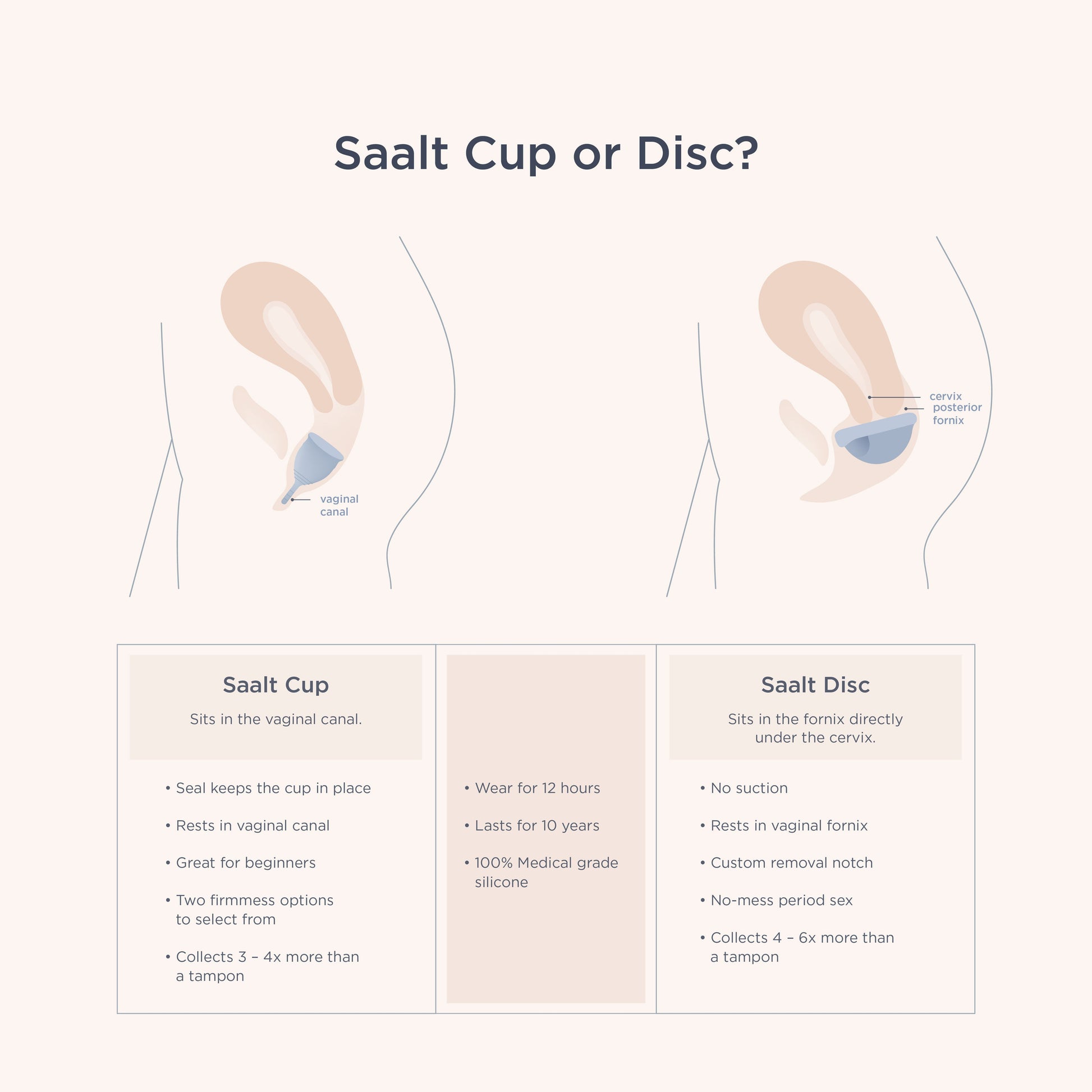 Saalt Soft Cup - Concordia Style Boutique