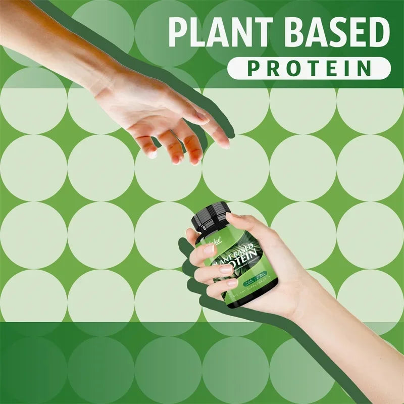 Plant Based Protein Supplement - Digestive Support, Promotes Intestinal Health, Antioxidant
