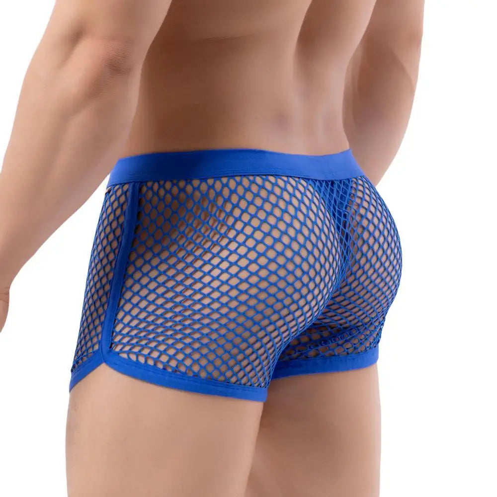 100% See-through Mesh Trunks