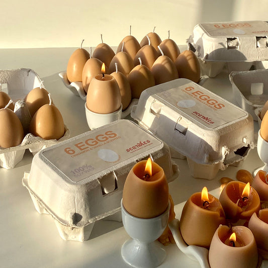 Egg Candles - 6 Pack Box - Concordia Style Boutique