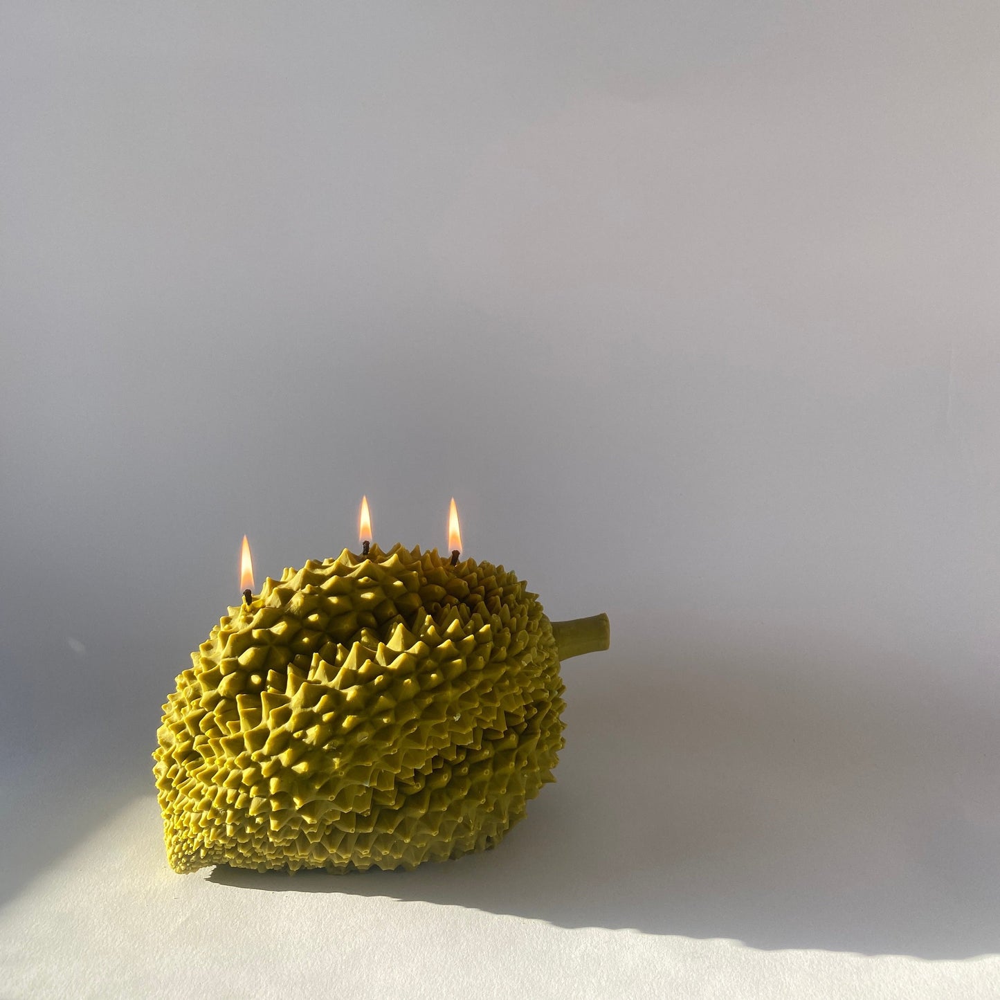 Durian Candle - Concordia Style Boutique