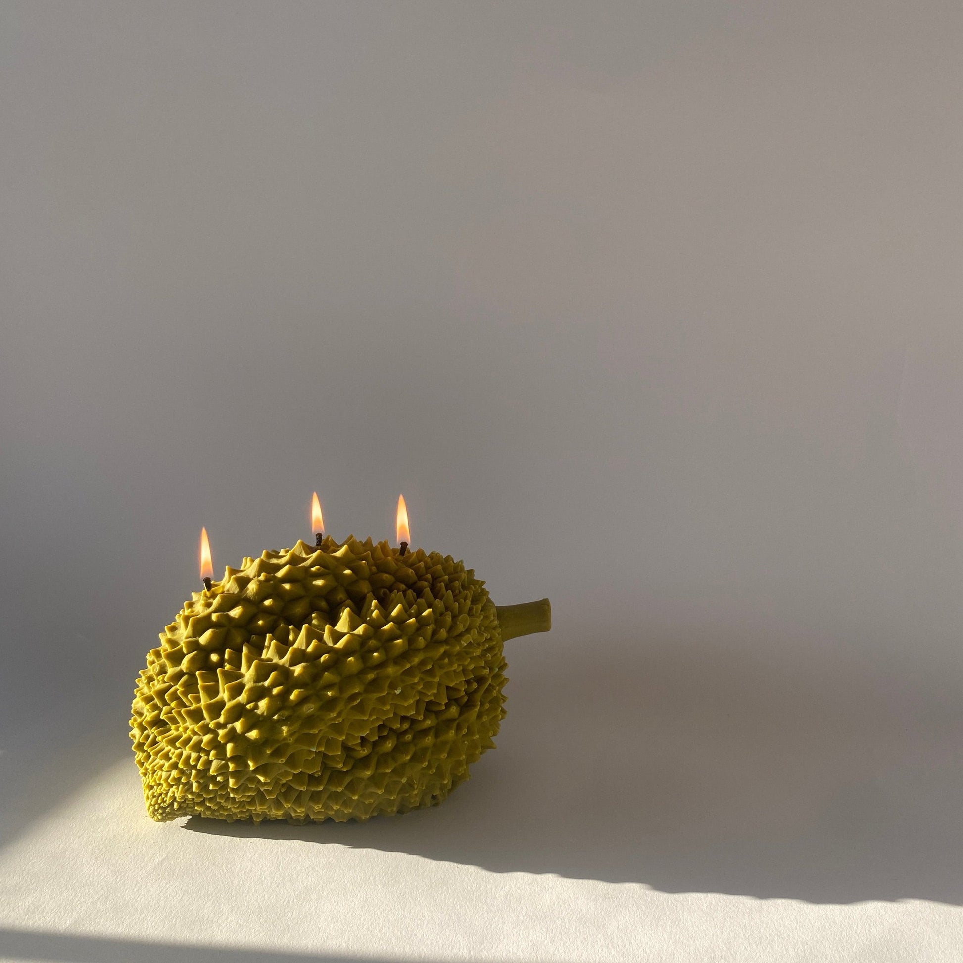 Durian Candle - Concordia Style Boutique