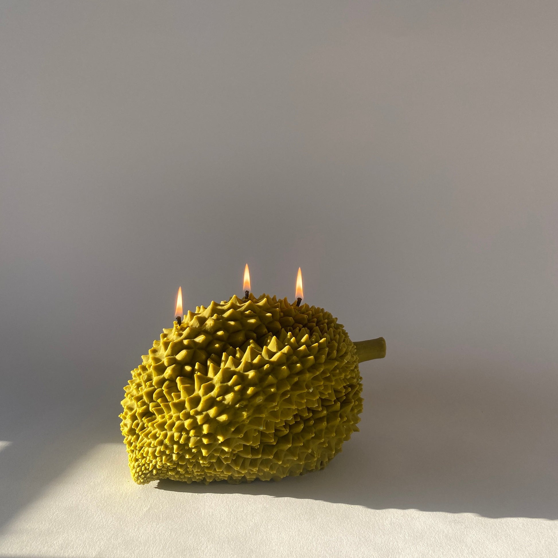 Durian Candle - Concordia Style Boutique