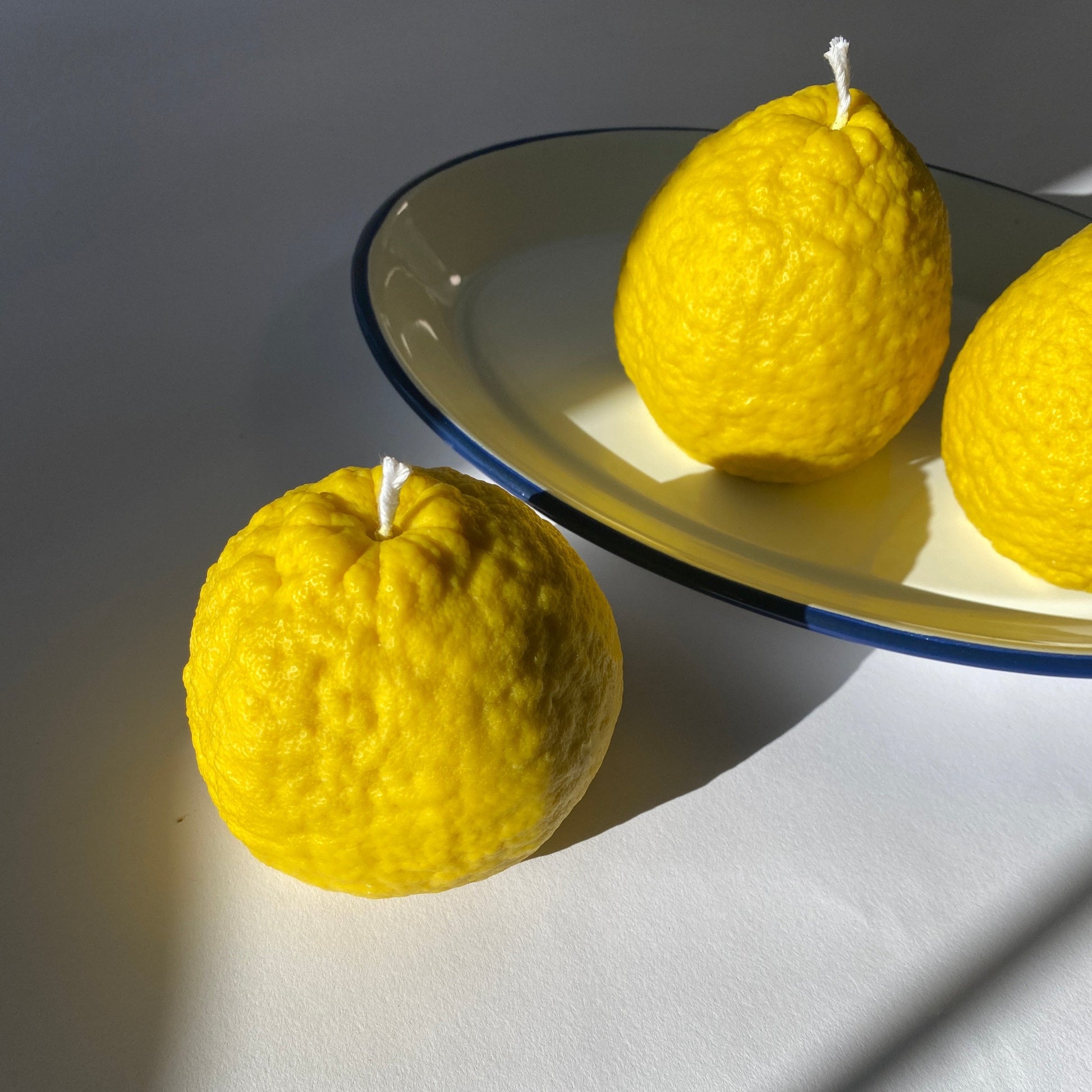 Large Ponderosa Lemon Candle - Concordia Style Boutique