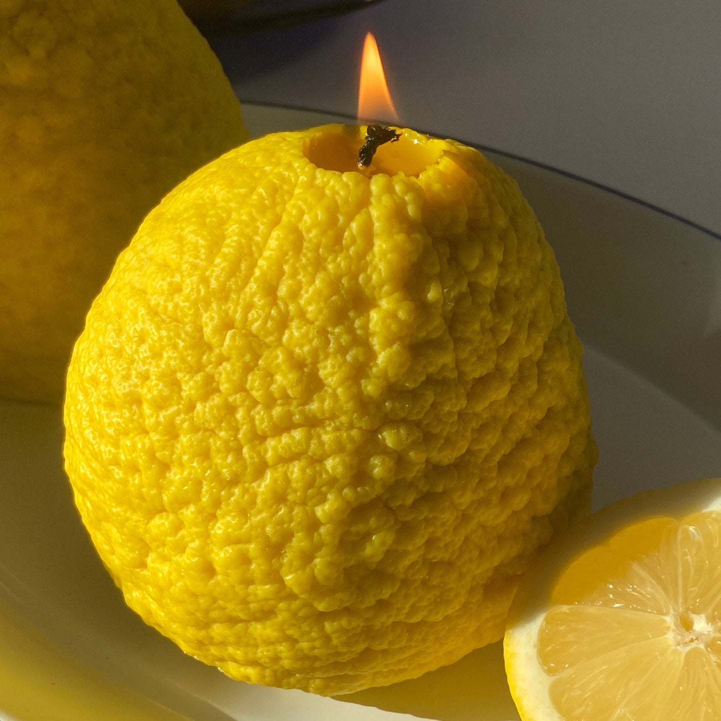 Large Ponderosa Lemon Candle - Concordia Style Boutique