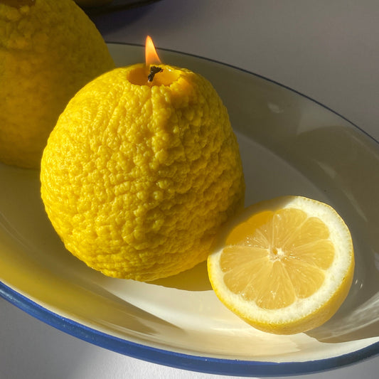 Large Ponderosa Lemon Candle - Concordia Style Boutique