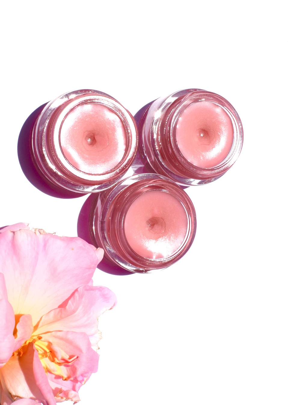 Strawberry Dreamsicle Lip Balm Scrub - Concordia Style Boutique