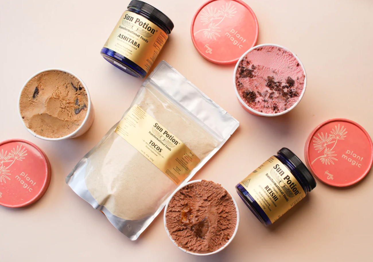 Reishi Mushroom Powder (Organic) - Concordia Style Boutique
