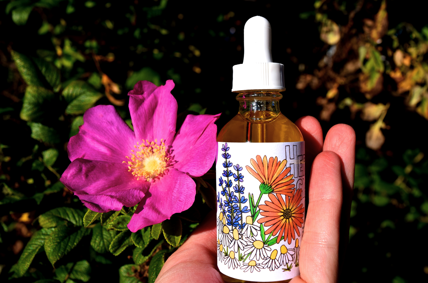 Herbal Cleansing Oil - Concordia Style Boutique