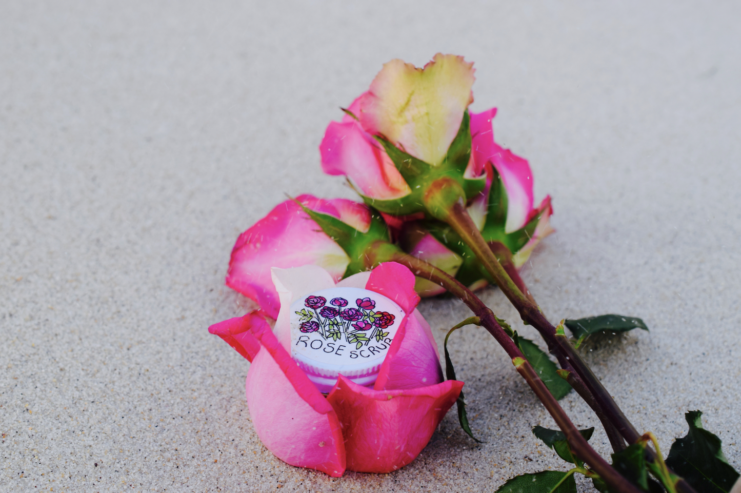 Beach Rose Scrub - Concordia Style Boutique