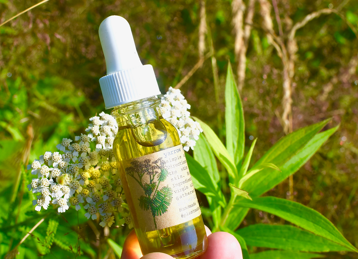 Yarrow Beauty Serum - Concordia Style Boutique
