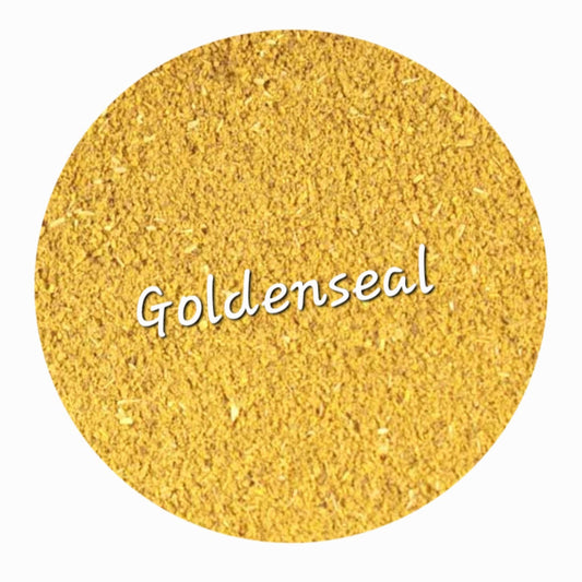 Goldenseal Root | Immune Defense & Mucus Membrane Support