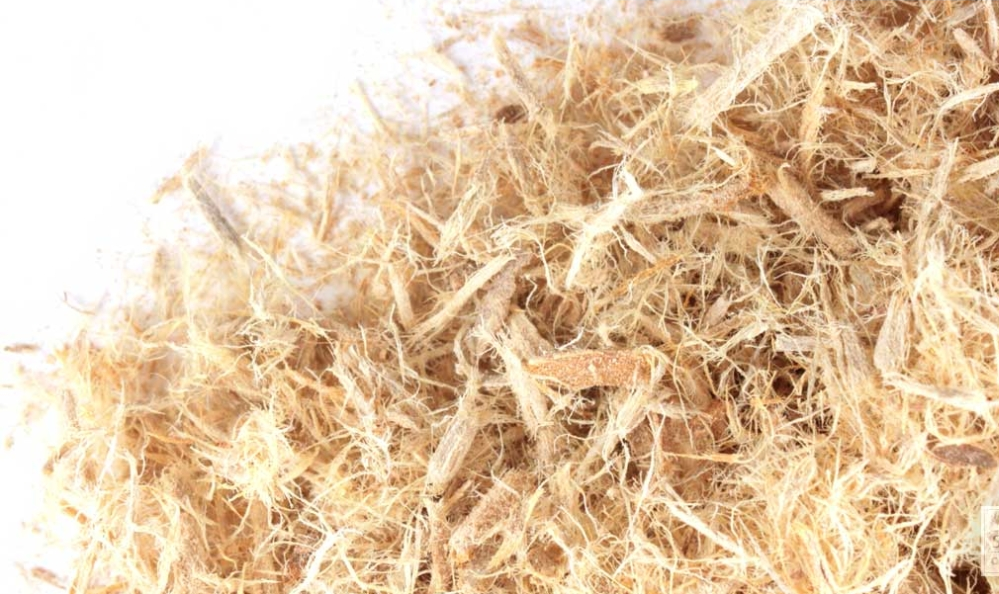 Slippery Elm | Digestive, Throat & Gut Healing Support