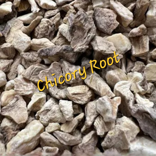 Chicory Root | Digestive Prebiotic & Liver Support