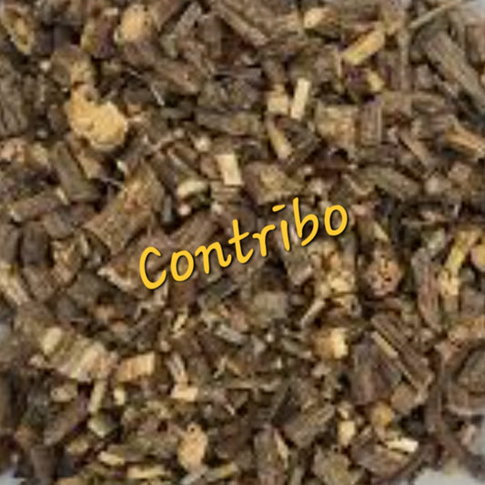 Contribo | Digestive Cleanse & Immune Strength