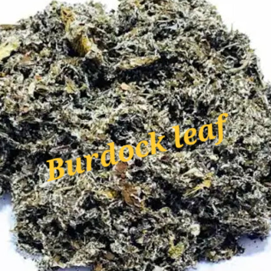 Burdock Leaf | Detox, Skin & Immune Support