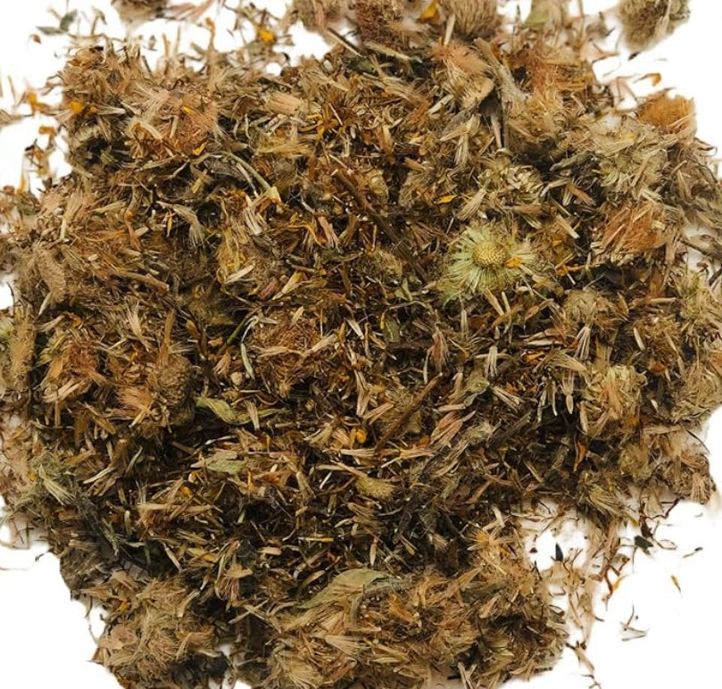 Arnica Leaf & Flower | Topical Relief & Muscle Comfort