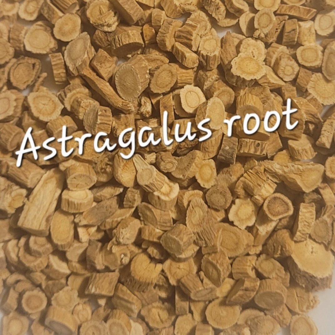 Astragalus Root | Immune Strength & Energy Tonic