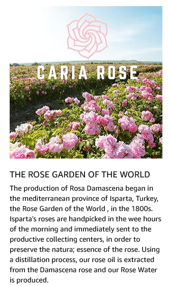 Rosewater Hydrating Spray Mist for Face & Hair | Rose Water Toner (4.2 oz (Travel Size)) - Concordia Style Boutique