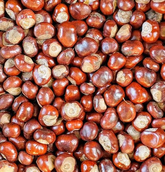 Horse Chestnut Powder