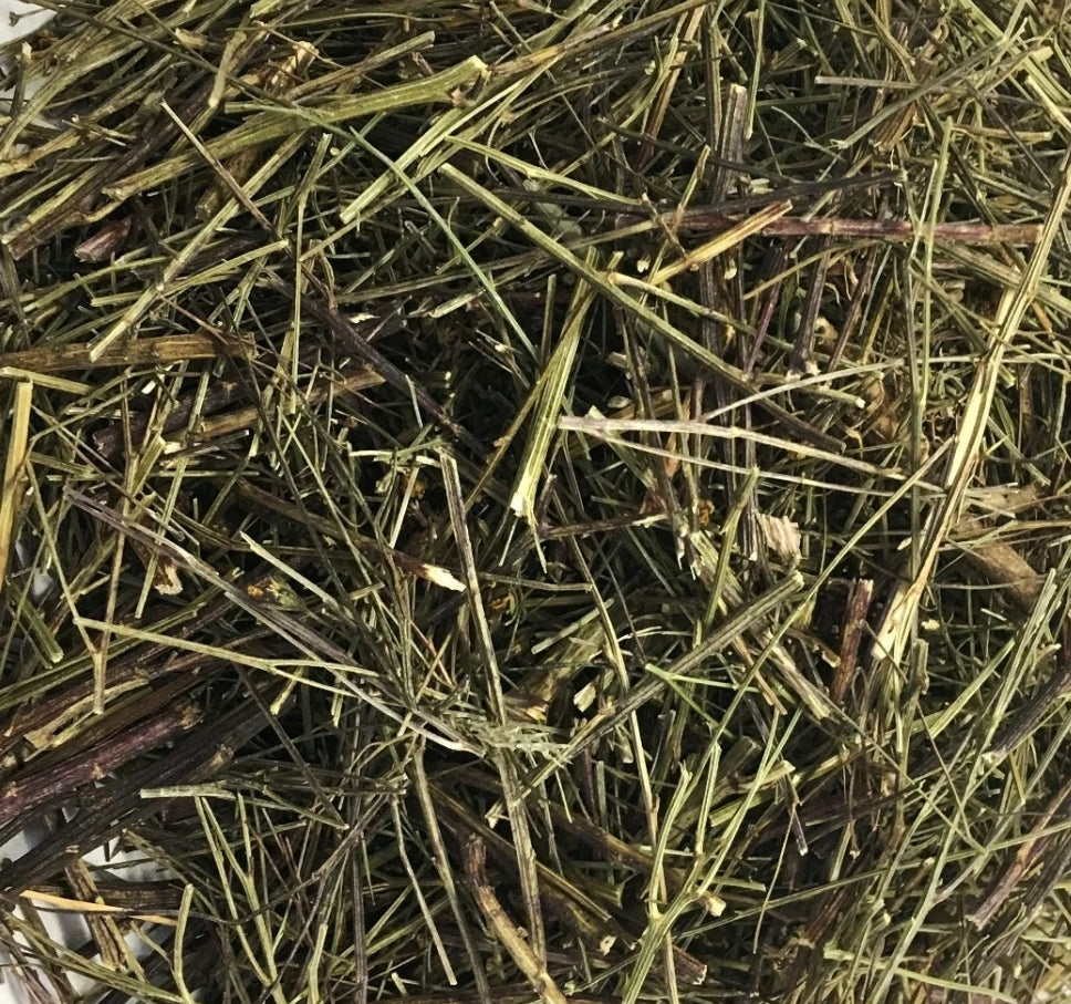 Canchalagua | Blood Cleanser & Skin Health